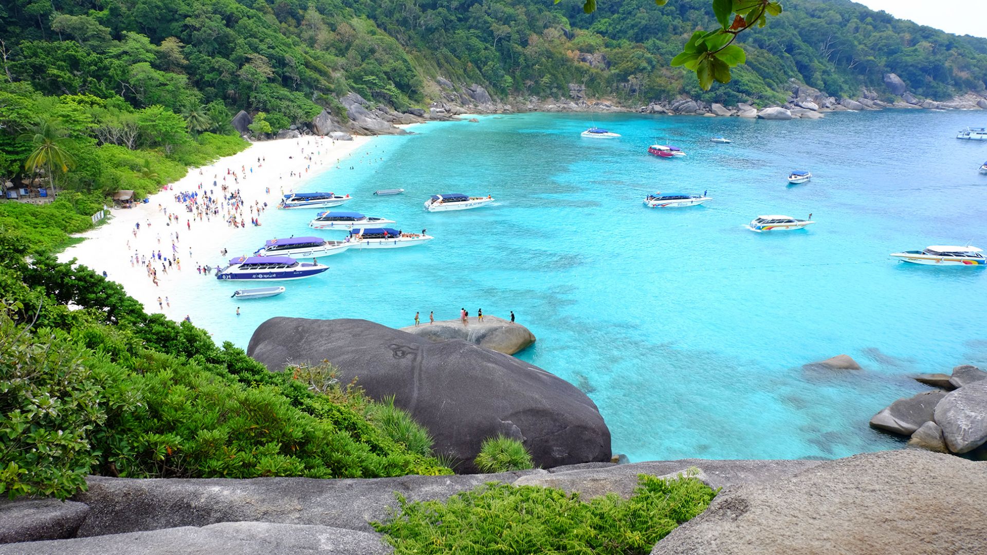 Similan Phuket Similan Islands Premium Tour Excursion Price: ฿3399 - ViagoTour.com
