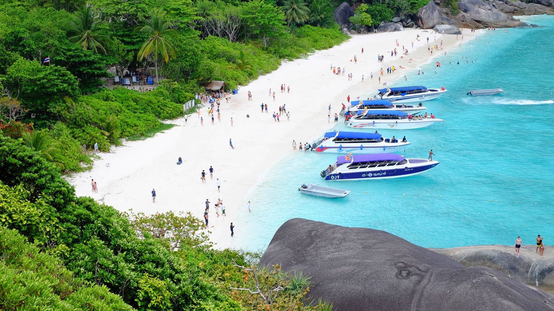 Similan Phuket Similan Islands Premium Tour Excursion Price: ฿3399 - ViagoTour.com
